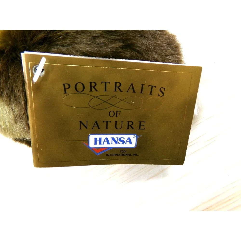 Hansa 2004 9.5